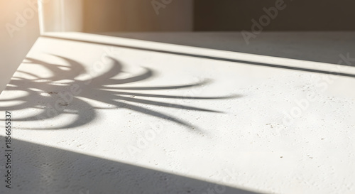Light and shadow displaying aesthetic leaf shadow on surface creates artistic indoor wall with modern style presentation perfect texture backdrop