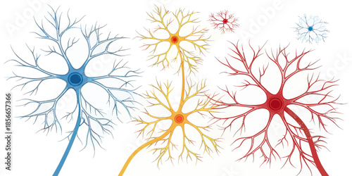 Bright Sensory Neurons in Minimal Vector Design