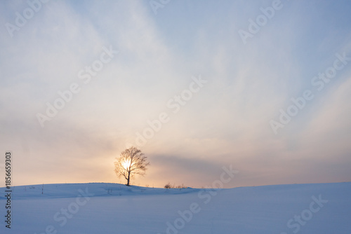 富良野、夕暮れ時