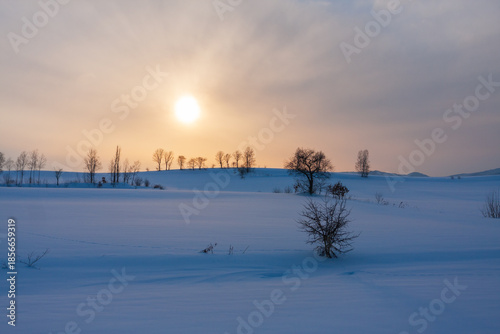 富良野、夕暮れ時