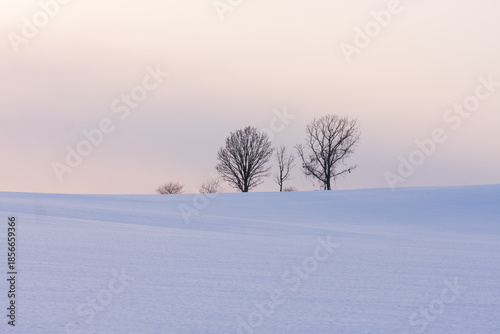 富良野、夕暮れ時