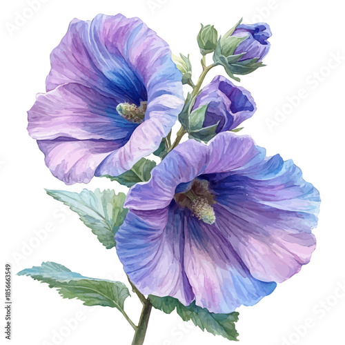 Hollyhock Flower, elegant watercolor vector illustration with flowing lines and gentle color transitions, isolated on a white background.