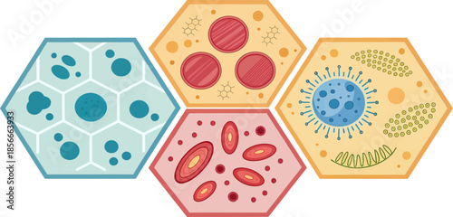 Geometric Connective Tissue Cells Illustration