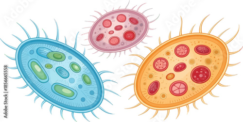 Goblet Cells: Microscopic Biological Illustration