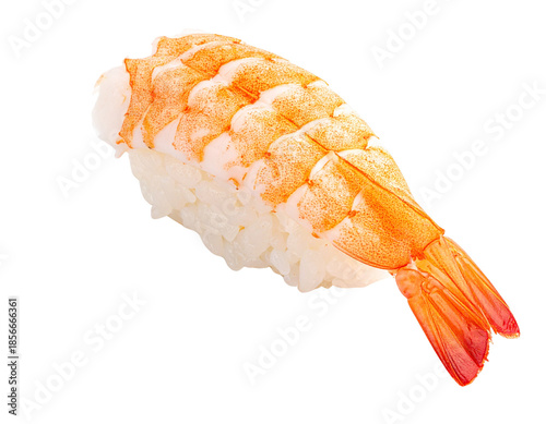 Delicious Shrimp Nigiri Sushi on White Background.