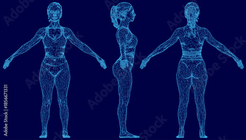 A female 3D wireframe model, wearing a shirt and underwear, is composed of intricate geometric shapes and lines. The detailed figure stands out against a solid blue background.