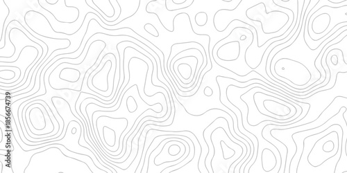 Contour abstract map relief land outline. Topographic map patterns. White wave paper curved reliefs abstract background. Background of the topography map. Abstract pattern with lines.