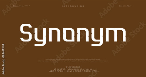 Synonym modern alphabet letters font logo. Typography luxury minimal lettering fonts decorative wedding vintage retro logos. vector illustration