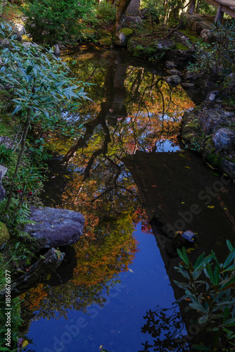 京都栂尾高山寺の境内の紅葉を始めた木々の風景