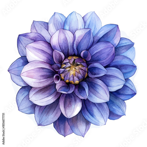 Dahlia Flower, charming watercolor vector with soft tones and graceful design, isolated on a white background.