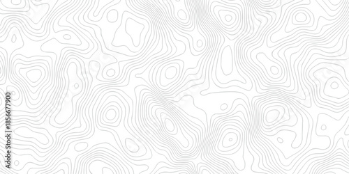 Contour abstract map relief land outline. Topographic map patterns. White wave paper curved reliefs abstract background. Background of the topography map. Abstract pattern with lines.