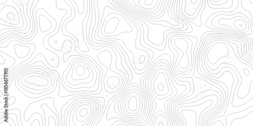 Contour abstract map relief land outline. Topographic map patterns. White wave paper curved reliefs abstract background. Background of the topography map. Abstract pattern with lines.