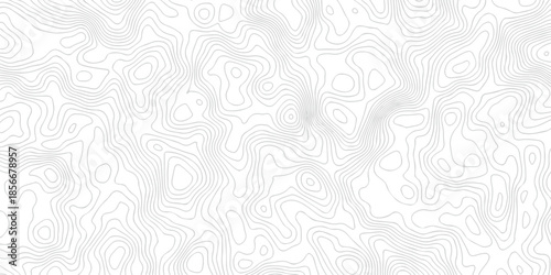 Contour abstract map relief land outline. Topographic map patterns. White wave paper curved reliefs abstract background. Background of the topography map. Abstract pattern with lines.