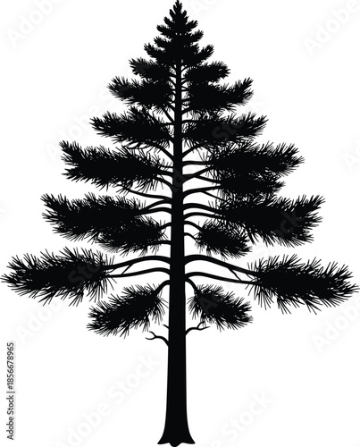 Coniferous pine tree silhouette vector illustration, evergreen spruce cedar or fir plant icon, forest nature element for Christmas and outdoor woodland landscape design