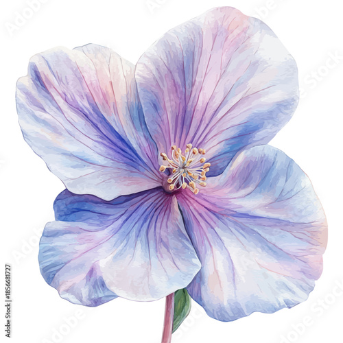 Bauhinia Flower, beautiful watercolor illustration with vivid colors and detailed vector style, isolated on a white background.