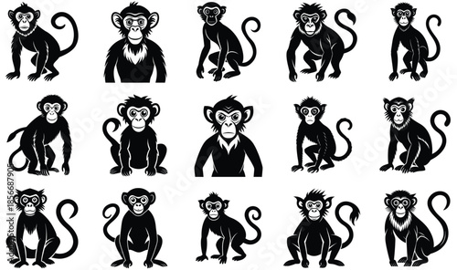 set of monkey silhouettes on isolated background