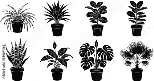 Houseplants in pots vector silhouette illustration set, various indoor green plants like monstera and snake plant isolated on white background for interior design,