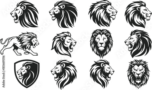 Lion head vector illustration set with majestic wild animal faces, heraldic king mascot icons isolated on white background for sports logo design,