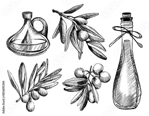 Olive branch sketch with oil bottles and fruit hand drawn vintage illustration of engraved botanical elements. Italian organic olive set with leaves, twigs and glass containers in black line style.