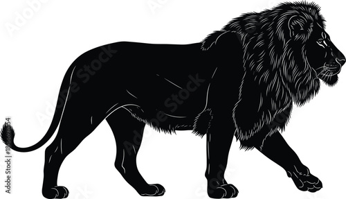 Majestic male lion silhouette with detailed mane, walking wild animal profile, black predator vector illustration isolated on white background for safari and wildlife design
