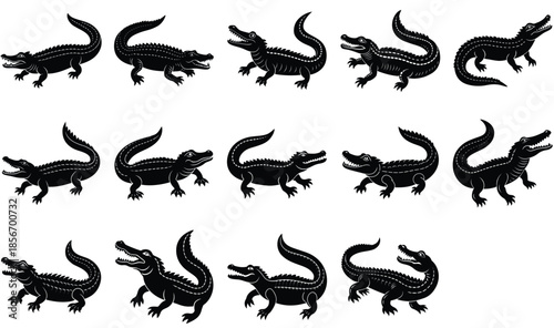crocodile silhouettes