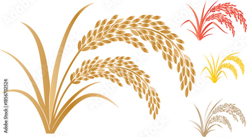 Golden rice stalks illustration set with decorative color variations