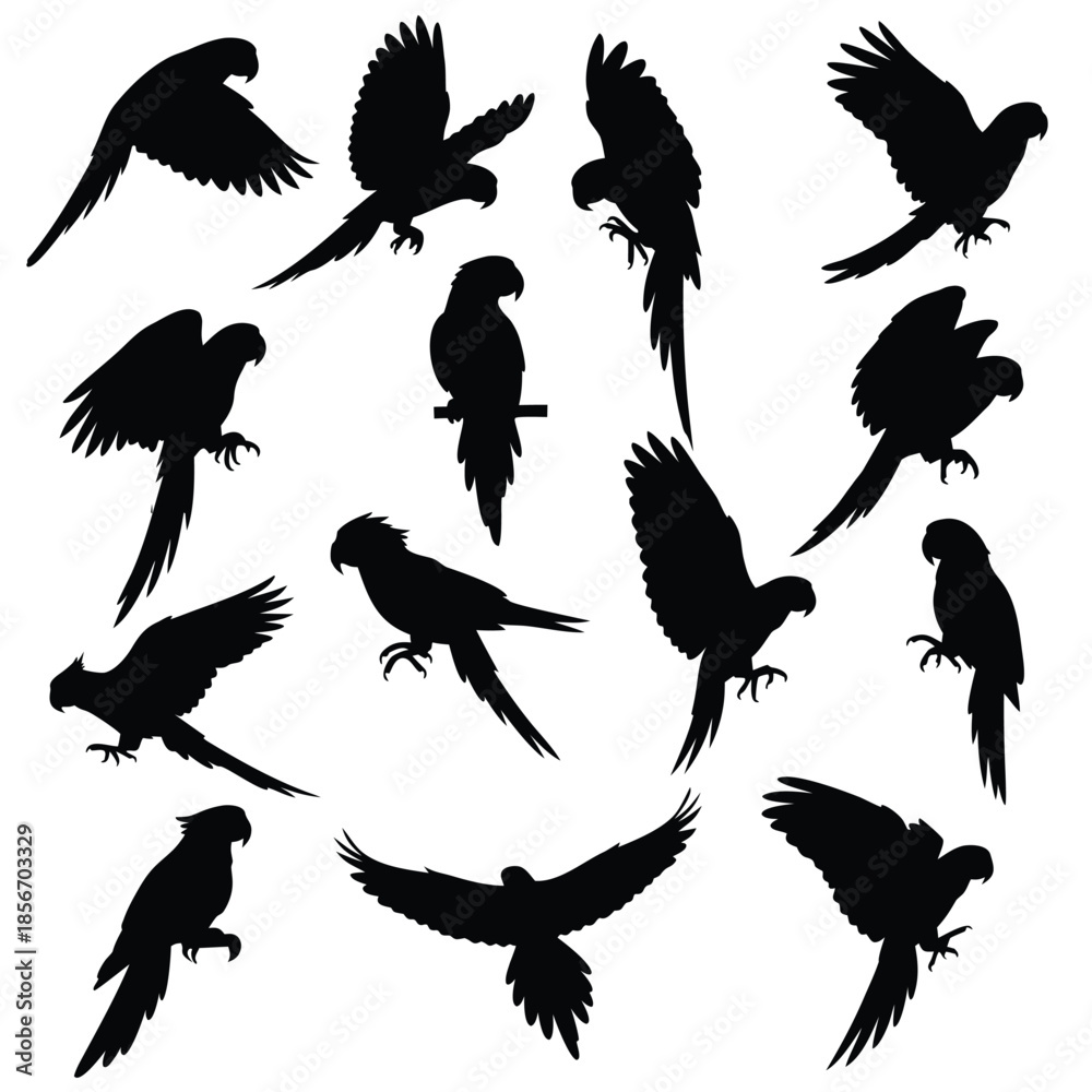 Obraz premium set of parrots illustration Vector