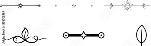 set of black decorative lines and leaves for graphic design  various ornamental elements