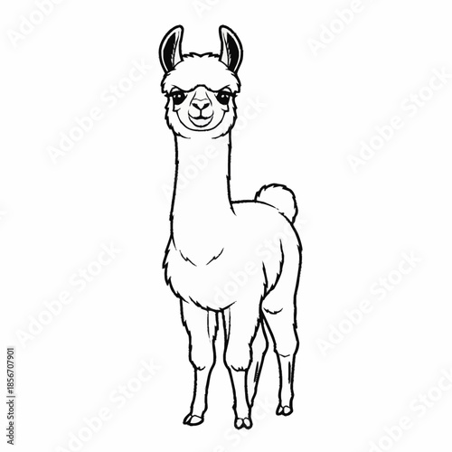 Cute cartoon llama standing and looking forward.