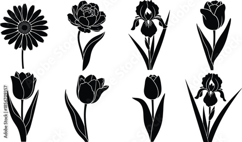 Black flower silhouettes set with elegant tulips daisies irises and blooming peonies isolated on white background for spring botanical design