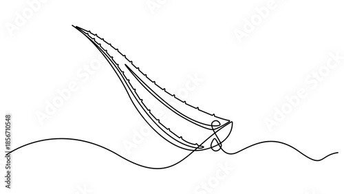 Aloe vera plant sketch, simple vector illustration, background, label design. One single line drawing of healthy organic, One continuous line drawing art illustration with lettering organic aloe vera