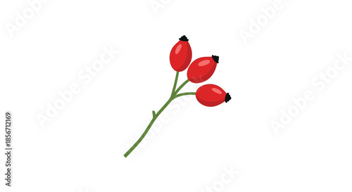 Stylized vector illustration of three vibrant red rose hips on a small green branch, presented against a clean white background.