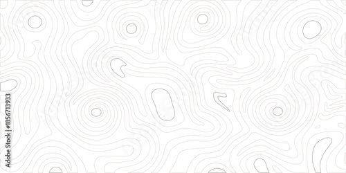 Topographic line contour map background, abstract geographic grid pattern, elevation terrain design, cartography texture, hiking trail relief concept, modern topology landscape vector background