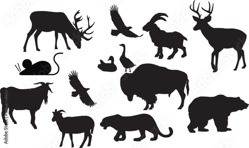 Silhouette collection of various wild animals