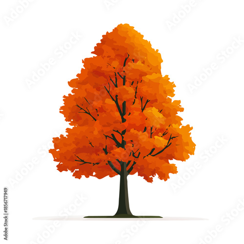 2D flat vector illustration of Beech Tree, designed in a clean icon style and isolated on a white background.