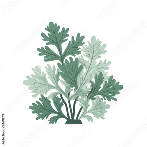 Simple flat 2D vector graphic of Dusty Miller, modern icon look, displayed on a pure white background.