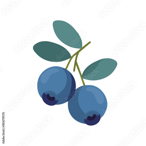Bilberry, modern 2D flat vector illustration in icon style, isolated on pure white background.