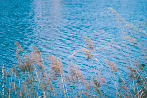 대구광역시 수성못