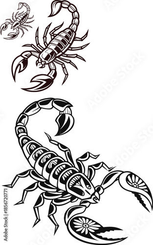 vector illustration of a scorpion