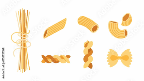 Assorted pasta shapes illustration featuring various types of noodles and macaroni on a clean background from a straightforward viewpoint