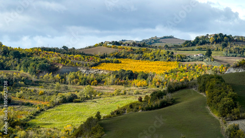 Fogliame autunnale nel Parco Naturale delle Foreste Casentinesi, Appennino Tosco-Romagnolo. Panorami autunnali delle montagne bolognesi. Bologna, Emilia-Romagna, Italia.