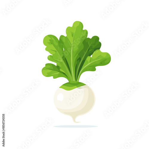 Simple flat 2D vector graphic of Turnip, modern icon look, displayed on a pure white background.