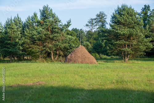 Принти на полотні A sheaf of hay in the meadow, Podlasie, Poland