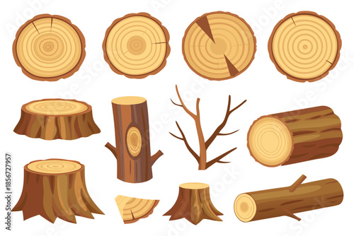 Cute hand-drawn vector wood pack with plank, round cuts, branches, log, and mossy stumps using flat colors
