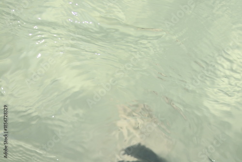 Gentle ripples on the surface of clear pale green water under bright sun