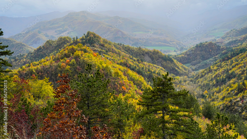 Obraz premium Fogliage autunnale nel Parco Naturale delle Foreste Casentinesi, Appennino Tosco-Romagnolo. Panorami autunnali delle montagne bolognesi. Bologna, Emilia-Romagna, Italia.