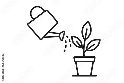 Watering a plant in a pot