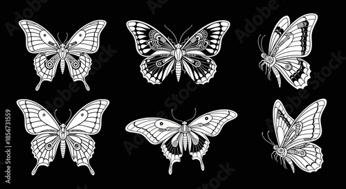 Elegant line art butterflies in various poses creating stunning decorative elements for any design project needing nature's beauty
