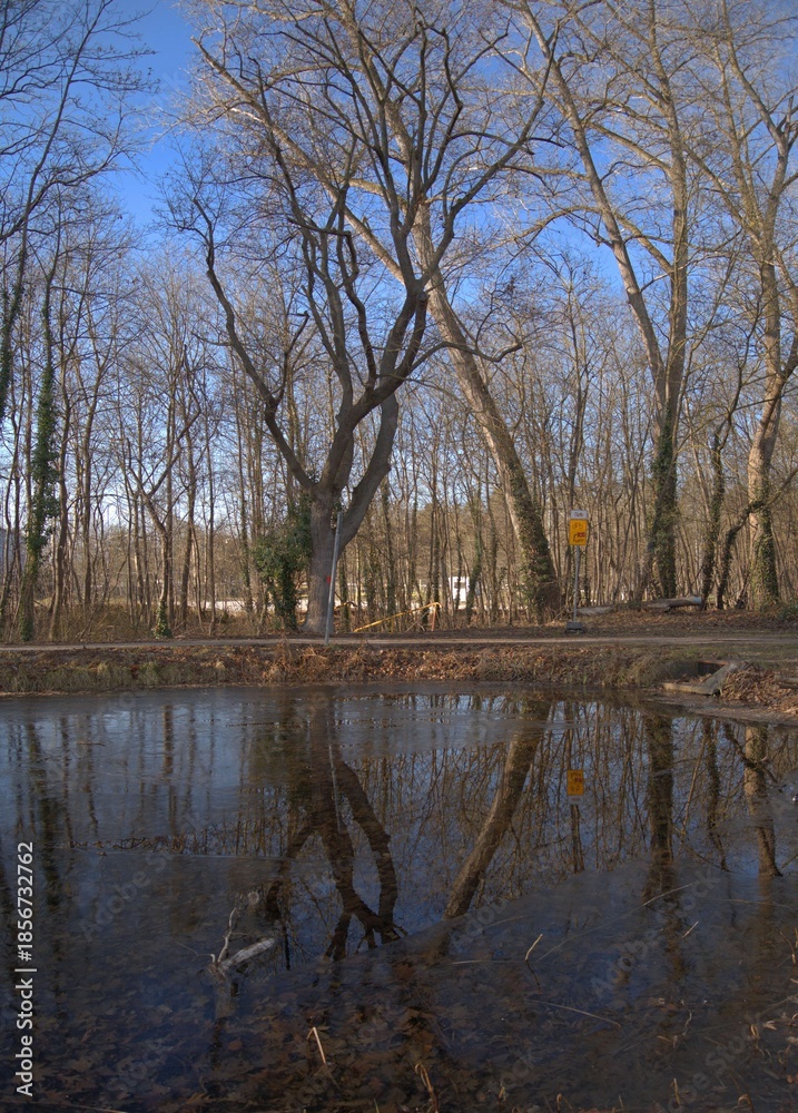 Fototapeta premium wasser landschaft baum himmel natur
