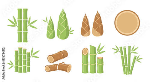 Flat Vector Illustration Set of Bamboo Stems, Green Bamboo Shoots, and Wood Cross Sections Isolated on White Background